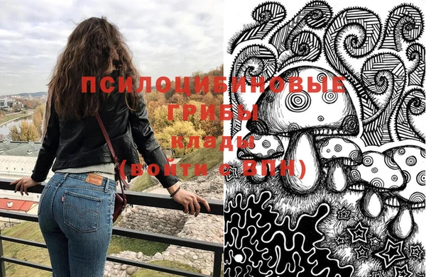 прущий лед Верея