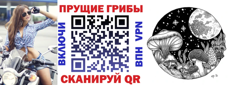 Галлюциногенные грибы Psilocybine cubensis  закладка  Фурманов 
